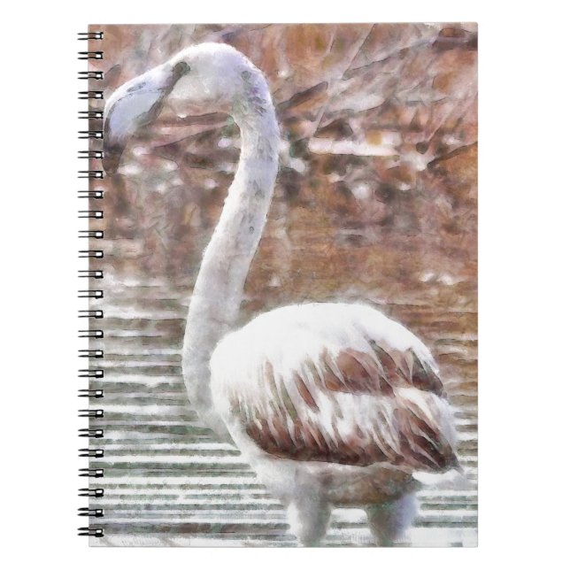 Cuaderno Acuarela Flamingo Exótico (Frente)