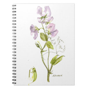 Cuaderno Acuarela púrpura y verde de la flor del guisante