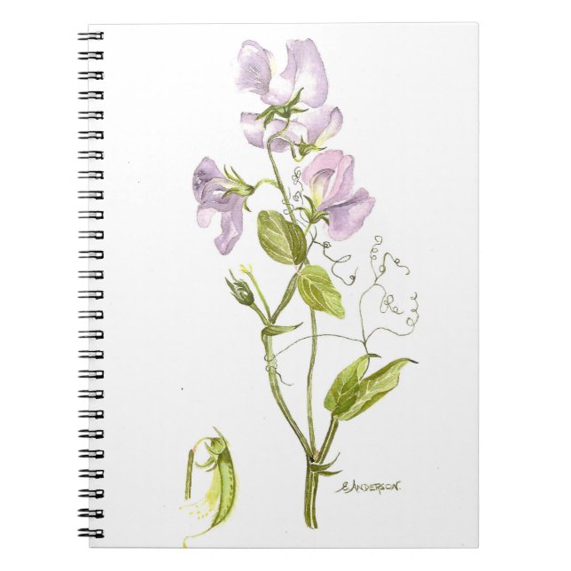 Cuaderno Acuarela púrpura y verde de la flor del guisante (Frente)