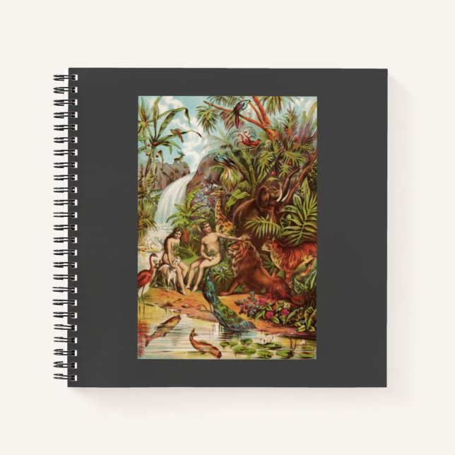 Cuaderno adán (Anverso)