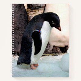 Cuaderno Adélie Penguin Notebook