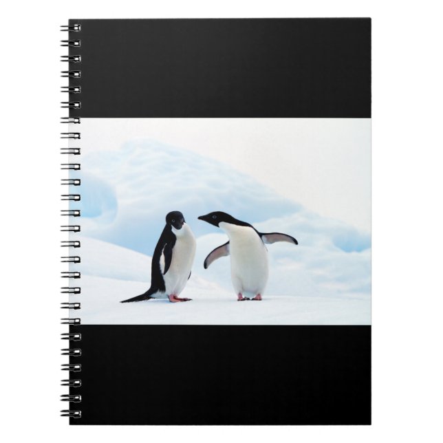 Cuaderno Adelie Penguins (Frente)