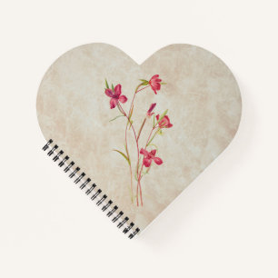 Cuaderno Adiós a la flor de primavera
