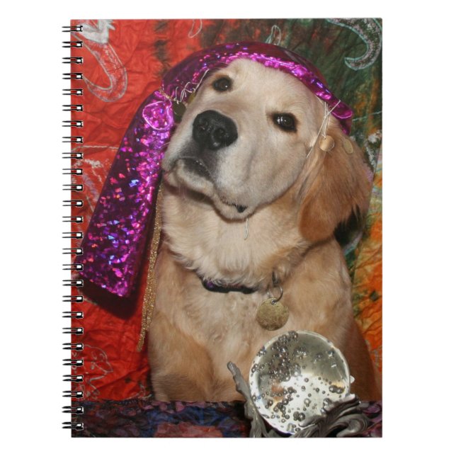 Cuaderno Adivino de oro (Frente)