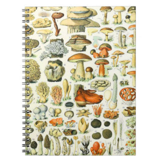 Cuaderno Adolphe Millot