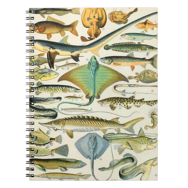 Cuaderno Adolphe Millot B (Frente)