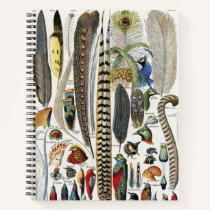 Cuaderno Adolphe Millot Dark Academia Vintage Pluma de Ave