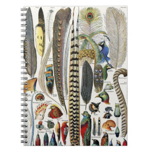 Cuaderno Adolphe Millot Dark Academia Vintage Pluma de Ave