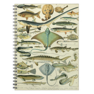 Cuaderno Adolphe Millot Fish Pattern A