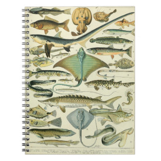 Cuaderno Adolphe Millot Fish Pattern A