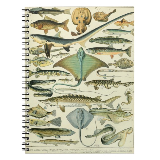 Cuaderno Adolphe Millot Fish Pattern A (Frente)