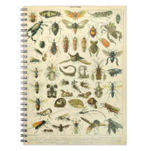 Adolphe Millot Insectos Portátil patrón-C