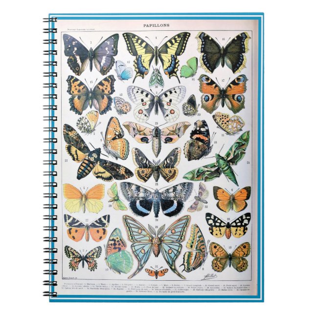 Cuaderno Adolphe Millot List of Butterflies (Frente)