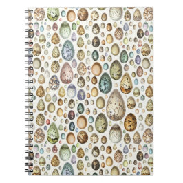 Cuaderno Adolphe Millot Ouefs Eggs