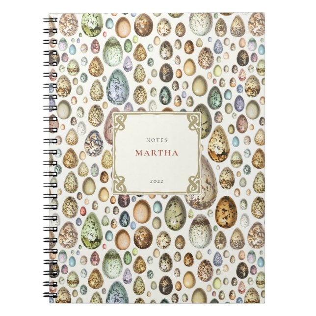 Cuaderno Adolphe Millot Ouefs Eggs Notebook (Frente)