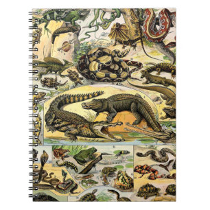Cuaderno Adolphe Millot Reptiles 1 portátil