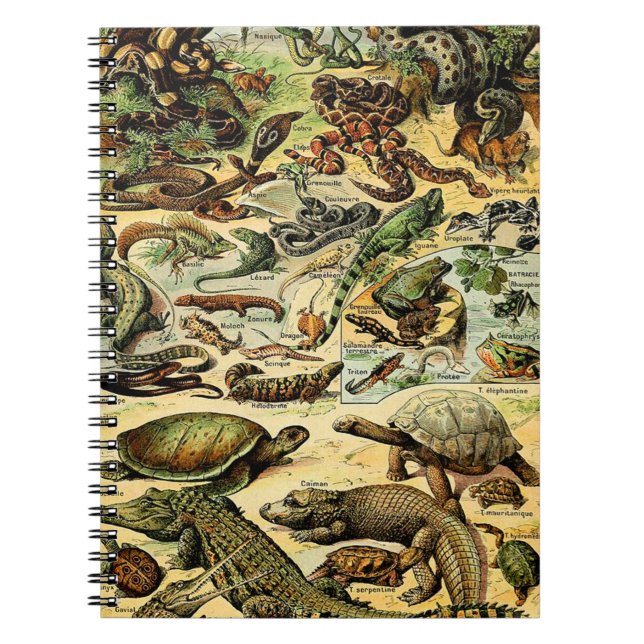 Cuaderno Adolphe Millot Reptiles 2 para portátiles (Frente)