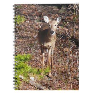 Cuaderno Adorable ciervo en la fotografía natural de Woods