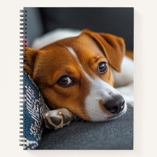 Cuaderno Adorable Resting Dog Notebook
