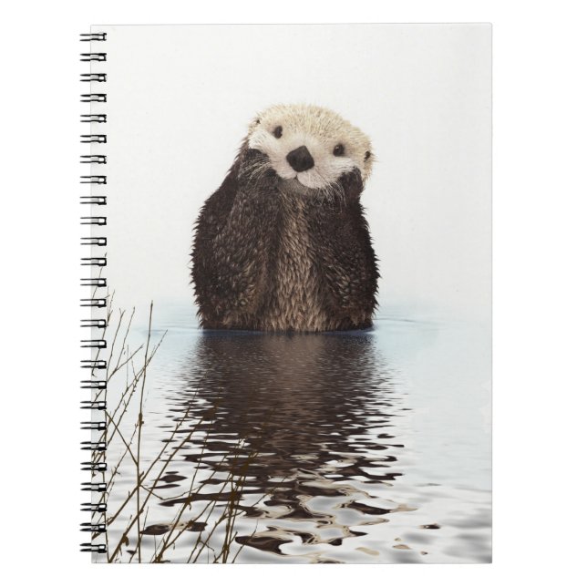 Cuaderno Adorable sonriente en el lago (Frente)