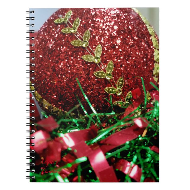Cuaderno Adorno Brillante (Frente)
