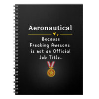 Aeronáutico