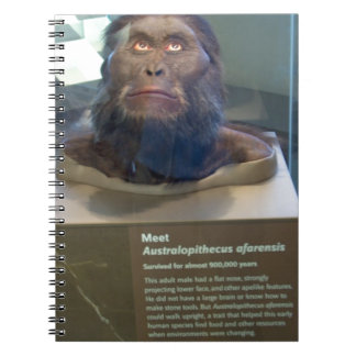 Cuaderno Afarensis del australopiteco; objeto expuesto del