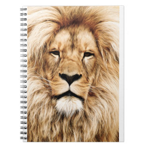 Cuaderno Africa Animal Lion Close-Up Detail Eye
