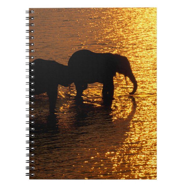 Cuaderno África, Botswana, Delta del Okavango. Africano (Frente)