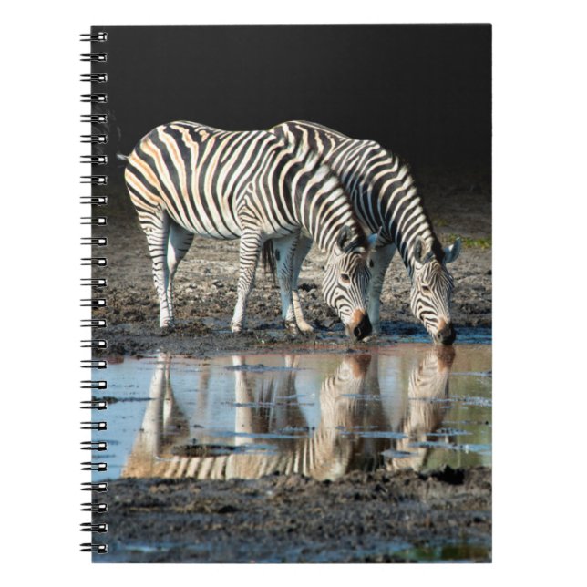 Cuaderno África, Botswana, Delta Okavango, Campo Davison (Frente)