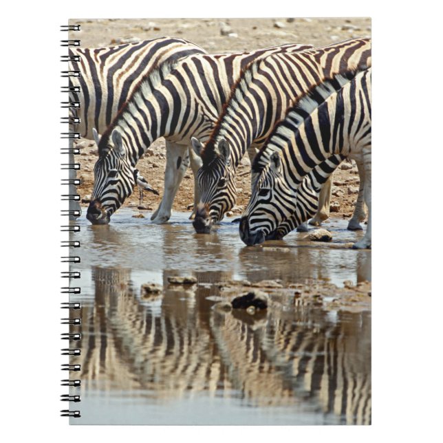 Cuaderno África, Namibia, Parque Nacional Etosha. Cebra de  (Frente)
