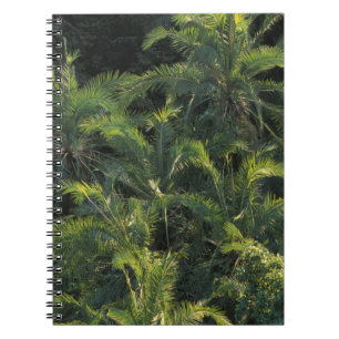 Cuaderno África, Zambia, Parque Nacional Mosi-Oa-Tunya,