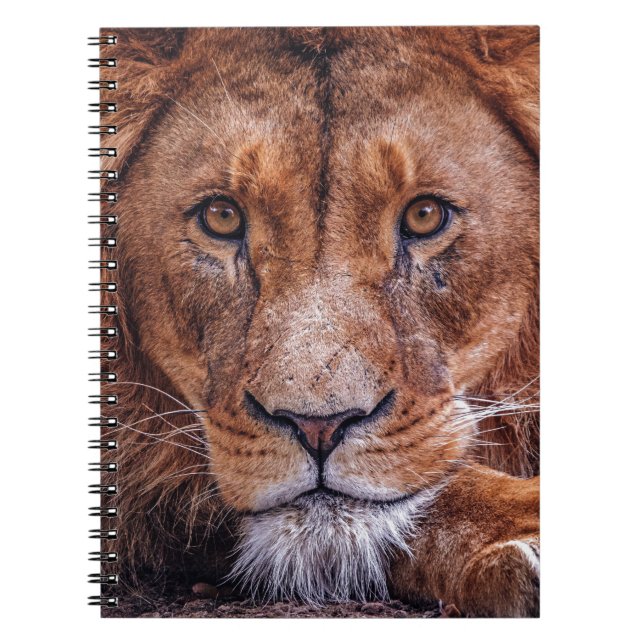 Cuaderno African Lion (Frente)