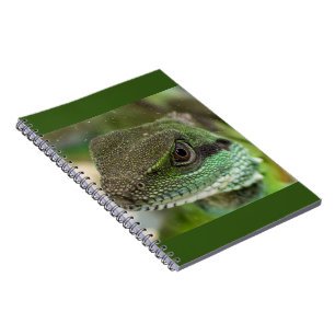 Cuaderno Agama, lagarto