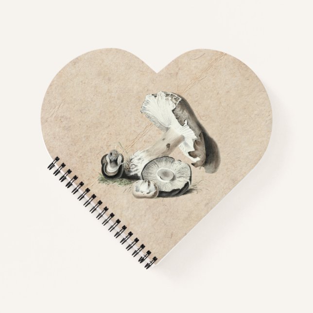 Cuaderno Agaricus Augustus Mushroom (Anverso)