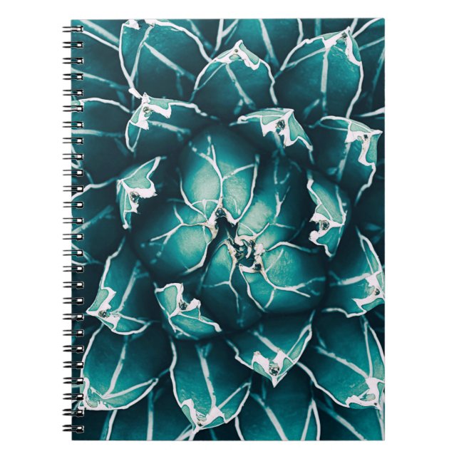 Cuaderno agave cactus, fondo de naturaleza abstracta, top v (Frente)