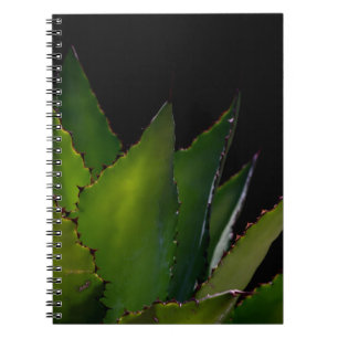 Cuaderno Agave glow