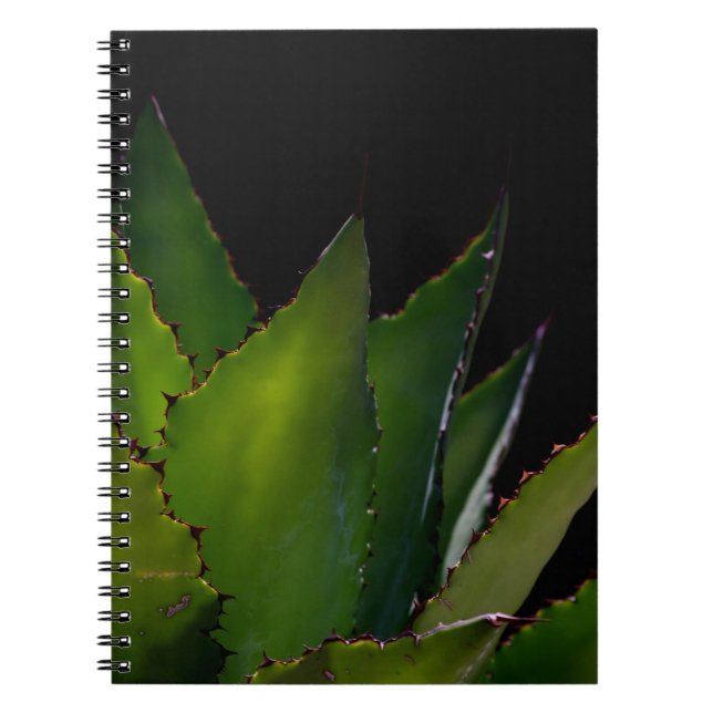 Cuaderno Agave glow (Frente)