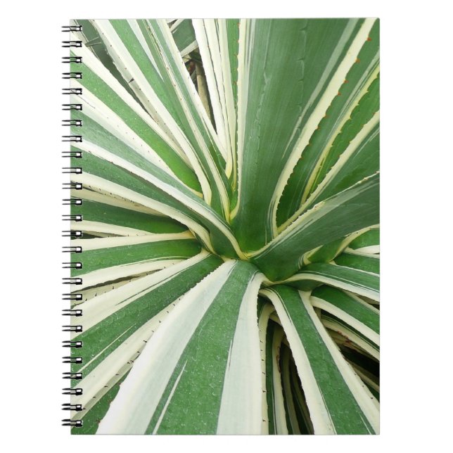 Cuaderno Agave Plant Green y White Strike (Frente)