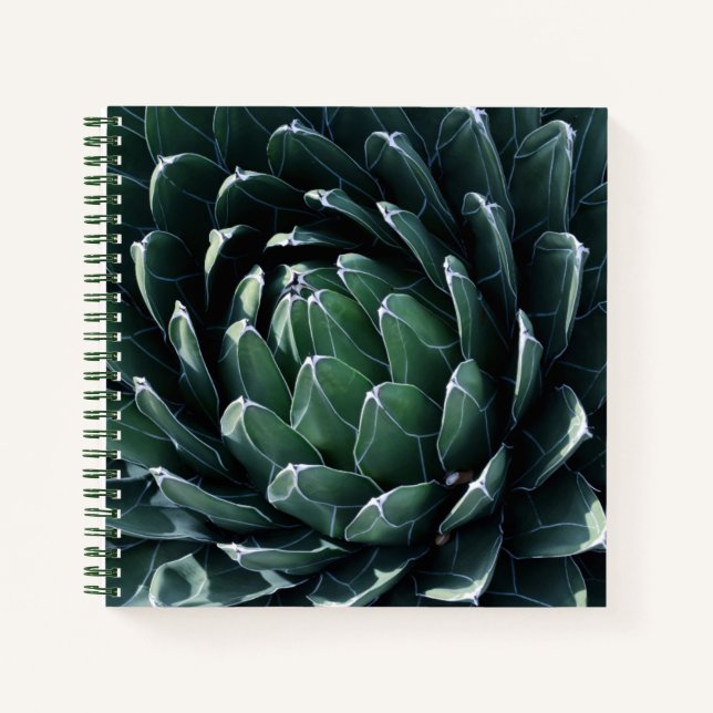 Cuaderno Agave verde (Anverso)