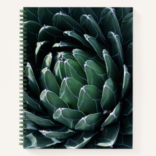 Cuaderno Agave verde