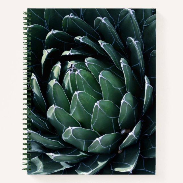 Cuaderno Agave verde (Anverso)