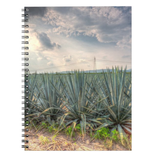 Cuaderno Agavo azul (Frente)