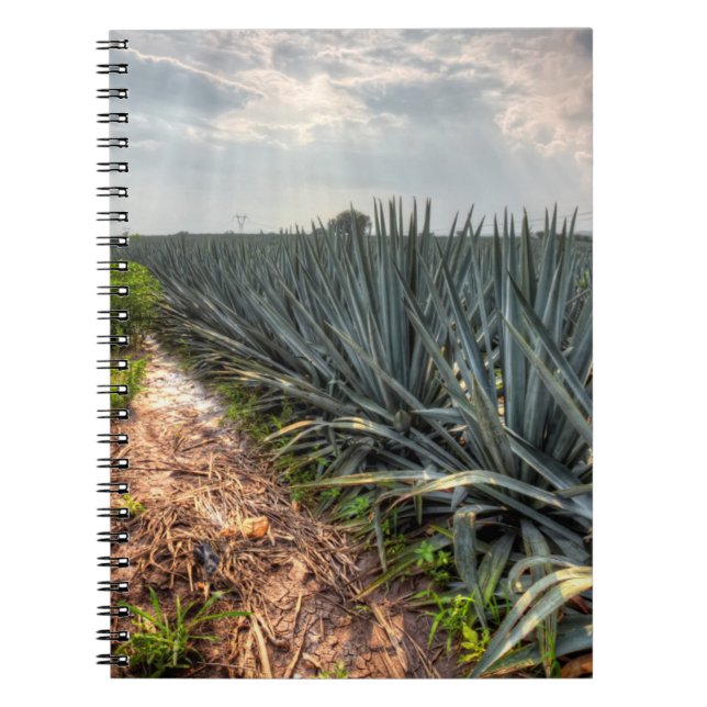 Cuaderno Agavo Tequilana (Frente)