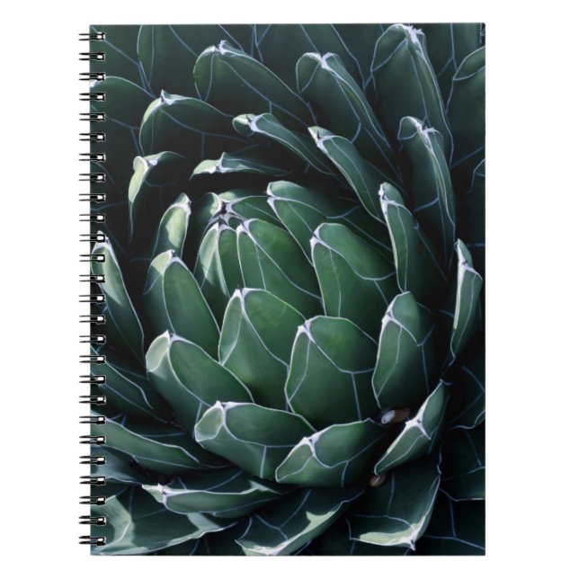 Cuaderno Agavo verde (Frente)