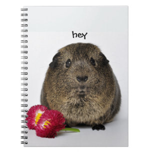 Cuaderno Agouti dulce, limón, cerdo guineano y flores