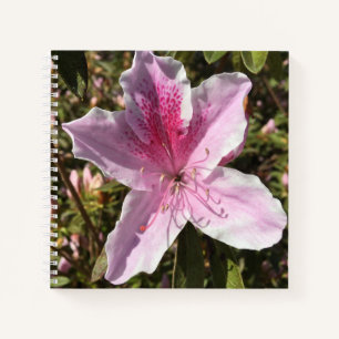 Cuaderno Agradable Azalea Rosa