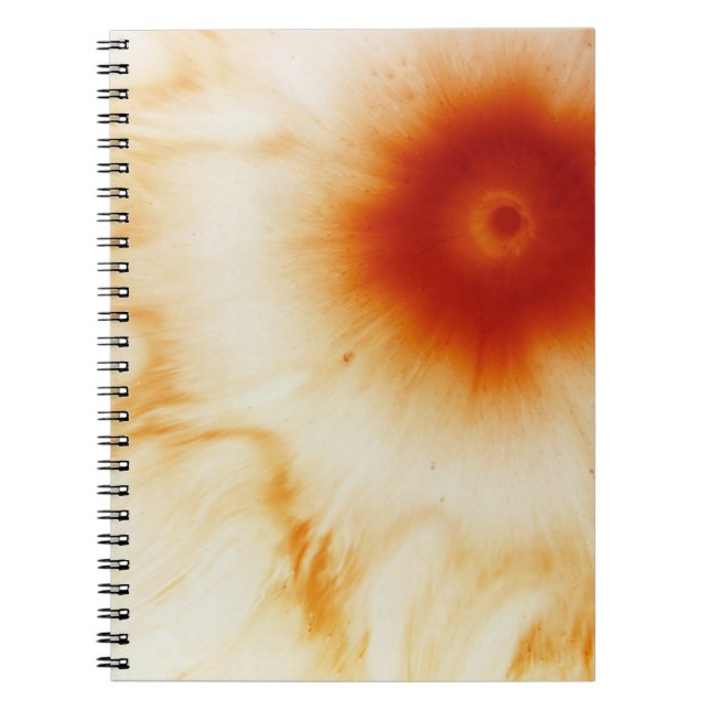 Cuaderno Agua (Frente)