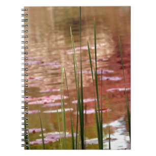 Cuaderno Agua a través de cañas