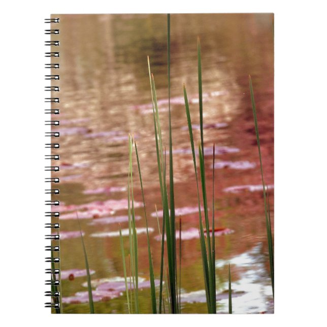 Cuaderno Agua a través de cañas (Frente)